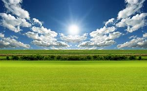 Image result for Blue Sky with Clouds and Grass Green