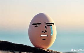 Image result for Sad Egg