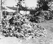 Image result for Concentration Camp Clothing