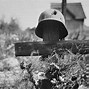 Image result for German Soldiers in Russia WW2