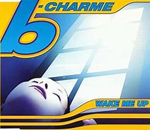 Image result for Wake Me Up Single