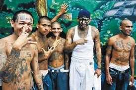 Image result for Nancy Pelosi and MS-13