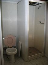 Image result for Toilet Shower