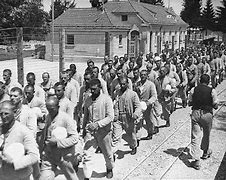Image result for Dachau Inmates
