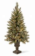 Image result for Lowe's Christmas Trees