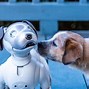 Image result for domestic robot pets