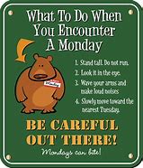 Image result for Monday Humor