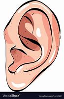 Image result for Ear Care Cartoon