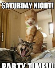 Image result for Funny Saturday Night at Home