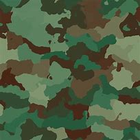 Image result for WW2 USMC Camouflage Uniform