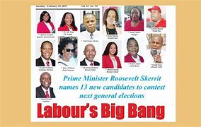 Image result for Dominica Labour Party