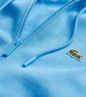 Image result for Grey Polo Ralph Lauran Zip Up Hoodie