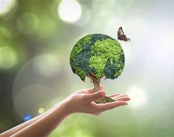 Image result for sustainability