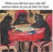 Image result for Funny Cat Irony
