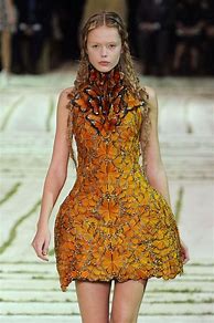 Image result for Alexander McQueen Butterfly
