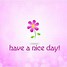Image result for Have an Amazing Day