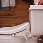 Image result for Green Toilet