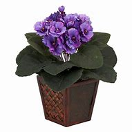 Image result for Artificial African Violet in a Planter
