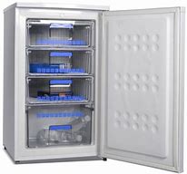 Image result for Small Upright Freezer with Refrigerator