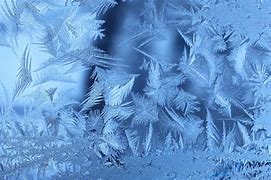 Image result for Frost Free Pure Freezer