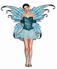 Image result for Fairy Costumes