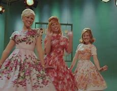 Image result for Dresses From the Movie Hairspray