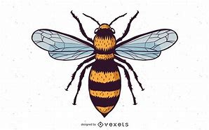 Image result for Honey Bee Vector