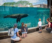 Image result for Zoo Tours Aquarium