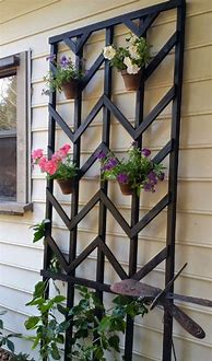 Image result for Pots with Trellis