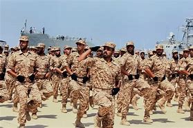 Image result for Libyan Special Forces Vest