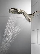 Image result for Delta Dual Shower Head System
