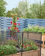 Image result for 5 Ft Fence Stakes With Clips Set Of 6 - Pest & Disease Controls - Fences & Barriers - Gardener's Supply