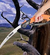 Image result for Folding Hand Pruning Saw