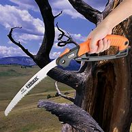 Image result for Hand Pruning Saw