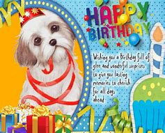 Image result for Funny Birthday Card for Man