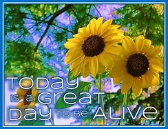 Image result for Beautiful Day to Be Alive