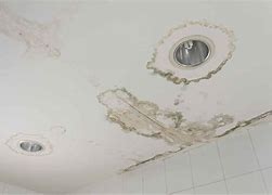 Image result for Water Leak in Ceiling Mold