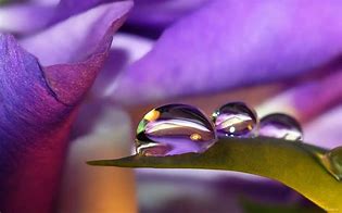 Image result for CD with Water Droplets