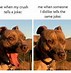 Image result for Pit Bull Dog Memes