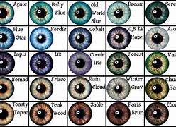 Image result for Eye Color Chart
