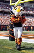 Image result for Bengals Mascot