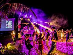 Image result for Beach Party Night