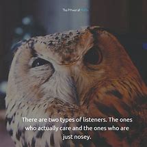 Image result for Nosey People Quotes