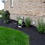 Image result for Black Wood Mulch
