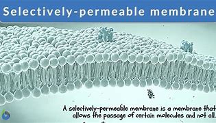 Image result for Semi Cell
