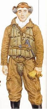 Image result for WW2 Japanese Navy Pilot Uniform