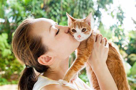 Best Quotes about People Who Love Cats