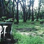 Image result for P.T. PS4