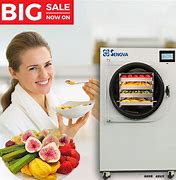 Image result for Mini Freeze-Drying Machine