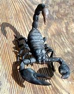 Image result for Fake Scorpion